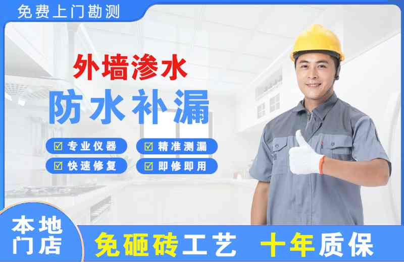 仲巴外墙渗水维修